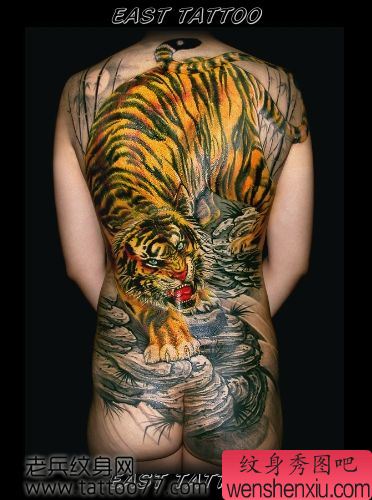 霸气的满背下山虎纹身图案