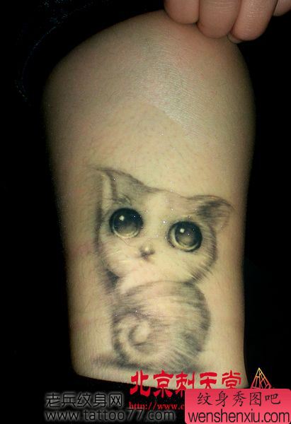女生纹身图案—可爱时尚的猫咪纹身图案
