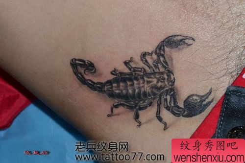 一幅腹部帅气的蝎子纹身图案
