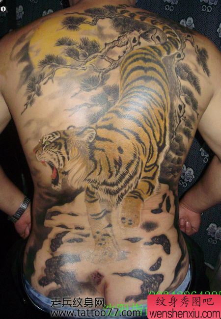 男性喜欢的满背下山虎纹身图案