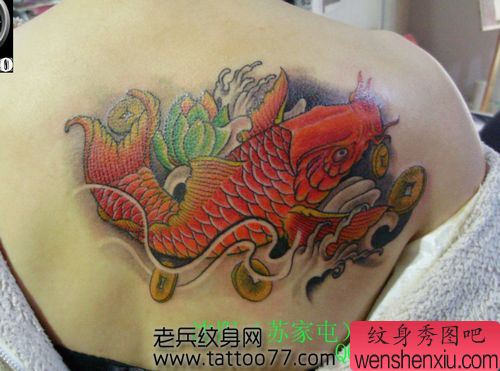 一幅美女背部彩色鲤鱼纹身图案