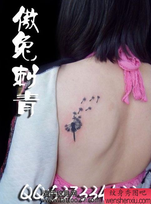 美女背部时尚的蒲公英纹身图案
