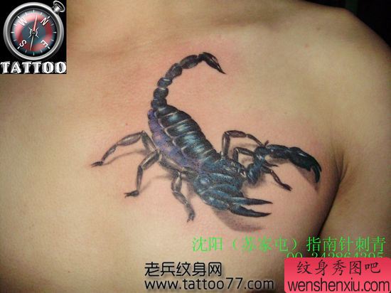 男生喜欢的胸部蝎子纹身图案