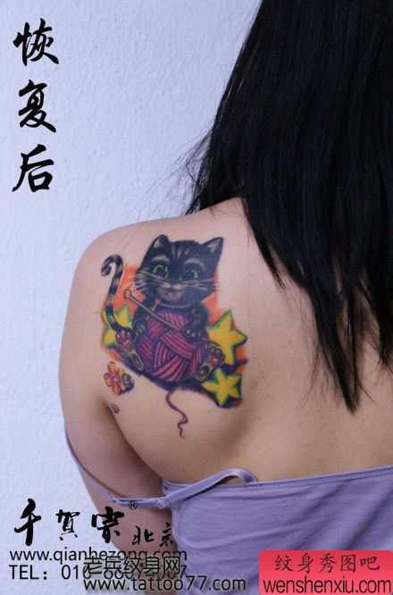 美女肩部可爱精美的猫咪纹身图案