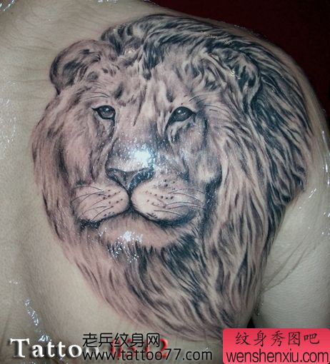 男性喜欢的背部狮头纹身图案