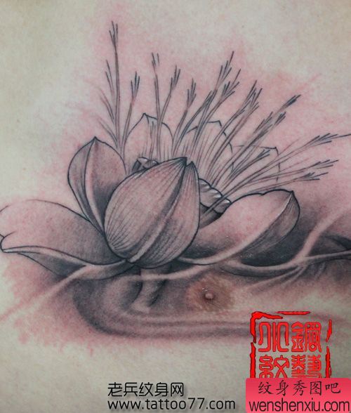 一幅胸部黑灰莲花纹身图案