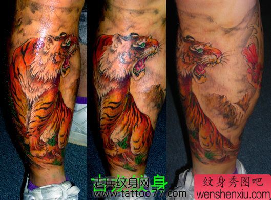 腿部霸气的彩色老虎纹身图案
