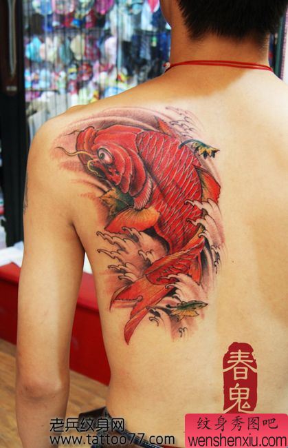 一幅背部好看的彩色鲤鱼纹身图案