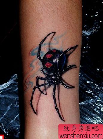 手臂好看的蜘蛛纹身图案