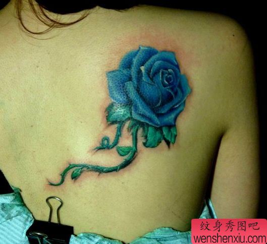 美女背部好看的彩色玫瑰花纹身图案