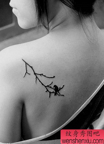 流行的美女肩部图腾树枝小鸟纹身图案