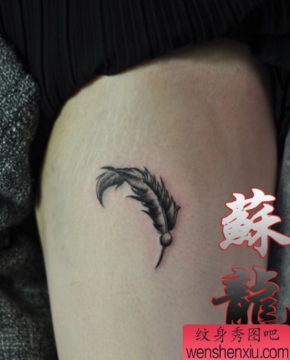 一幅黑灰的羽毛纹身图案