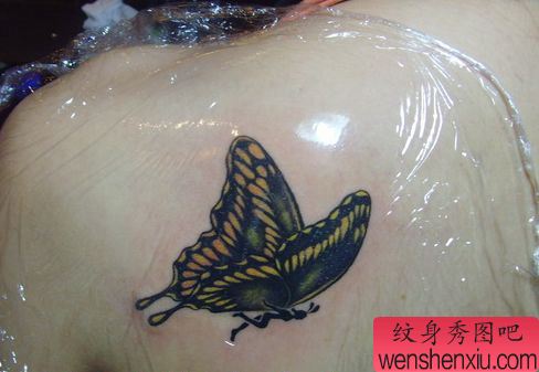 女孩子肩部好看的蝴蝶纹身图案