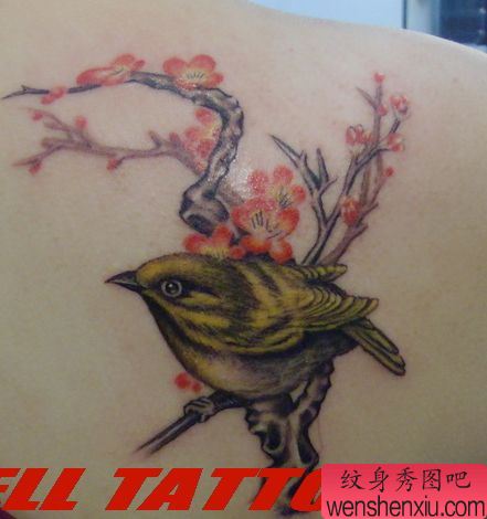女孩子肩部好看的喜鹊梅花纹身图案