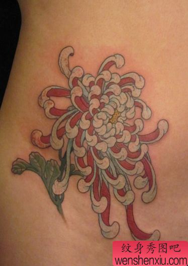 一幅美女腹部菊花纹身图案