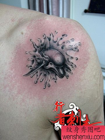 一幅肩部好看的海豚纹身图案