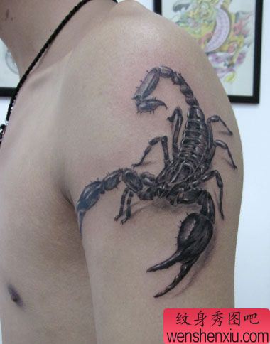 手臂帅气流行的蝎子纹身图案