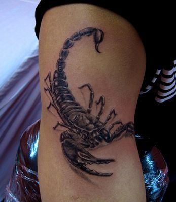 手臂经典帅气的蝎子纹身图案