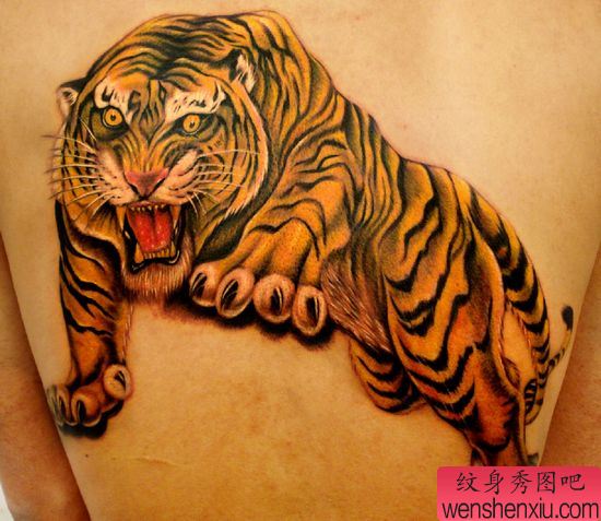 背部霸气的彩色老虎纹身图案