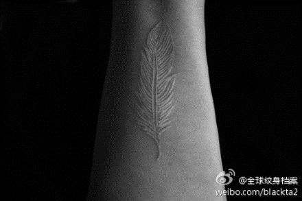 一幅手臂白色羽毛纹身图案