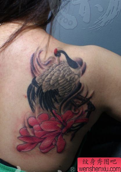 女孩子肩部一幅白鹤纹身图案