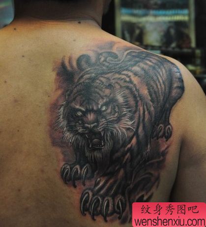 背部霸气的一幅老虎纹身图案
