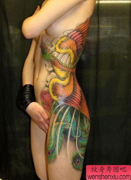 一幅精美超帅的彩色凤凰纹身图案