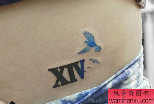 女孩子腹部英文字母与小鸟纹身图案