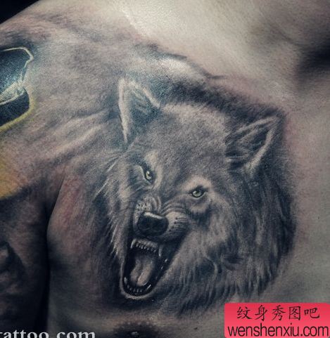 胸部一幅霸气的狼头纹身图案