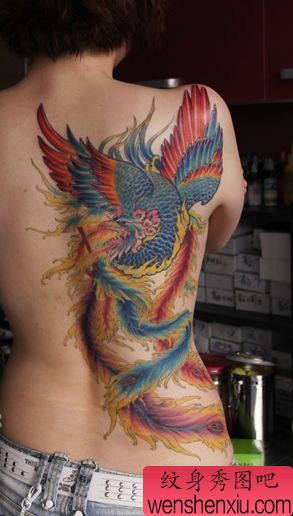 美女背部一幅精美的彩色凤凰纹身图案
