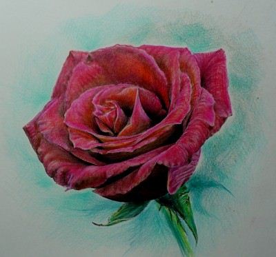 推荐两款不同效果的玫瑰花纹身图案