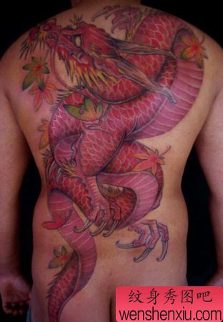 一幅背部彩色满背龙纹身图案