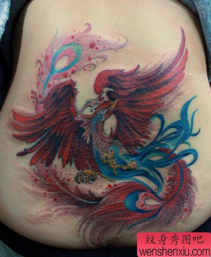 女孩子腰部好看的彩色凤凰纹身图案