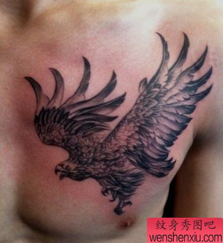 胸部经典帅气的老鹰纹身图案
