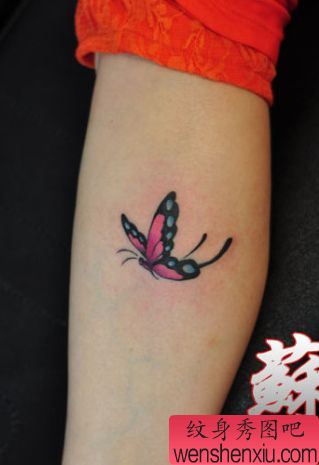 女孩子腿部精美漂亮的蝴蝶纹身图案