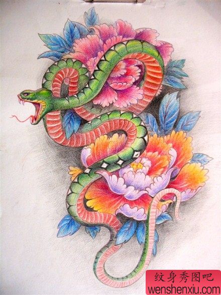 一幅彩色蛇牡丹纹身手稿