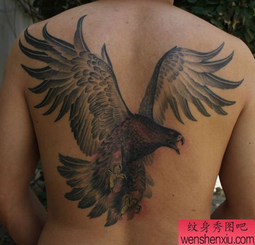 背部霸气的老鹰纹身图案