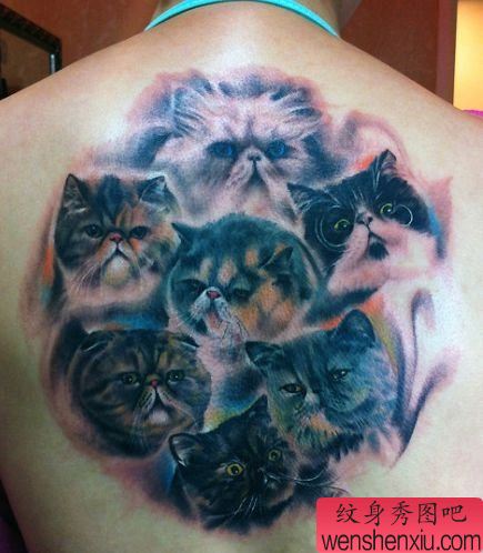 美女背部胖乎乎的猫咪纹身图案