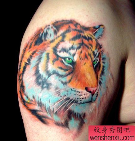 手臂一幅彩色虎头纹身图案