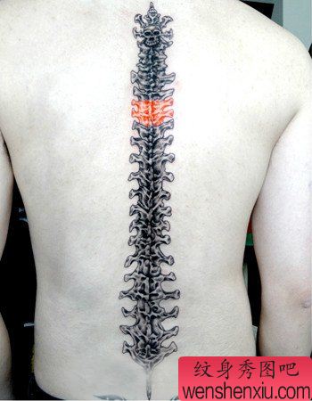 背部超帅的脊椎骨头纹身图案