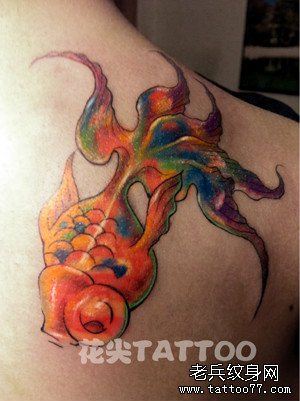 一幅背部彩色小金鱼纹身图案