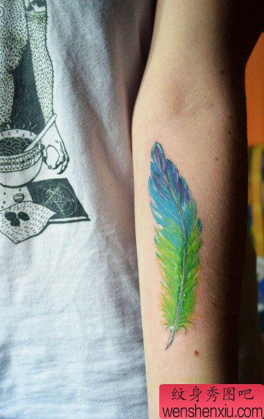 女生手臂漂亮的彩色羽毛纹身图案