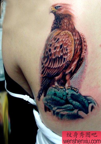 美女背部一幅彩色老鹰纹身图案