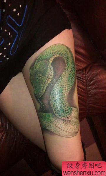 美女腿部一幅彩色蛇纹身图案