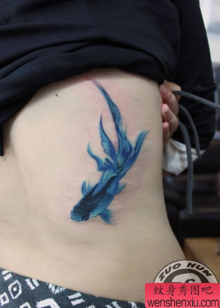 美女侧腰一幅彩色小金鱼纹身图案