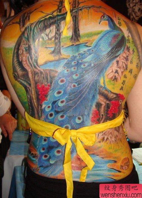 一幅好看的美女满背彩色孔雀纹身图案