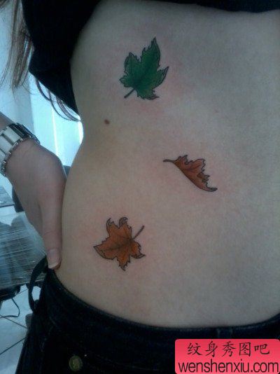 美女腹部好看的彩色枫叶纹身图案