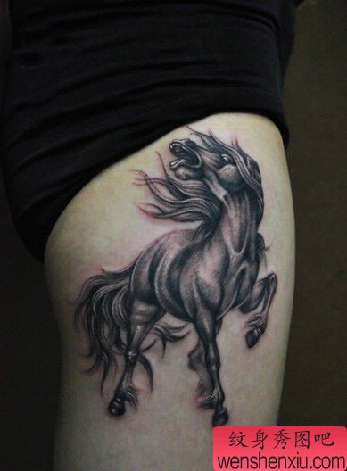 美女腿部帅气的马纹身图案