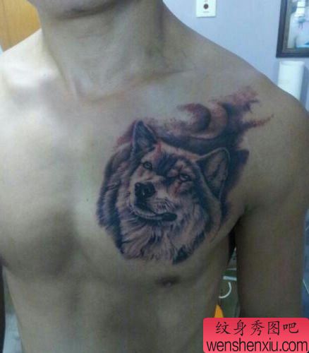 男性胸部霸气的狼头纹身图案