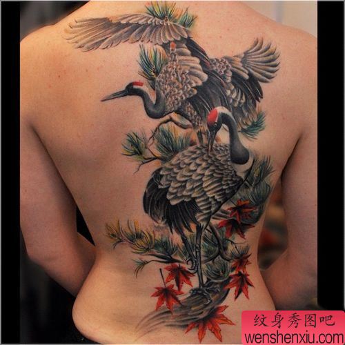 美女背部一幅白鹤仙鹤纹身图案